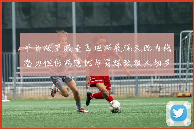 平价版罗威奎因坦斯展现天赋内线潜力但伤病隐忧与罚球致敬米切罗